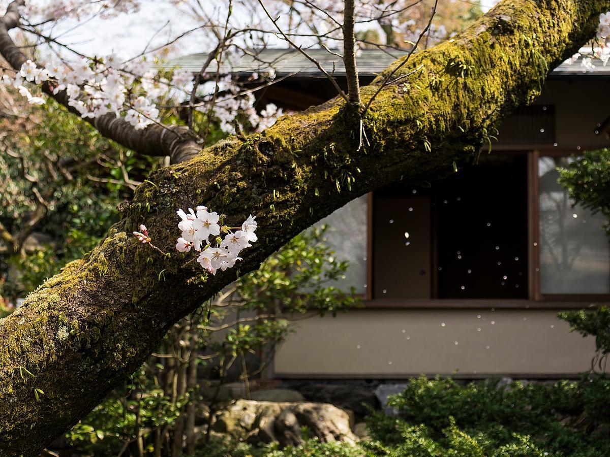 Nanzenji Sando Kikusui Kyoto Exterior foto