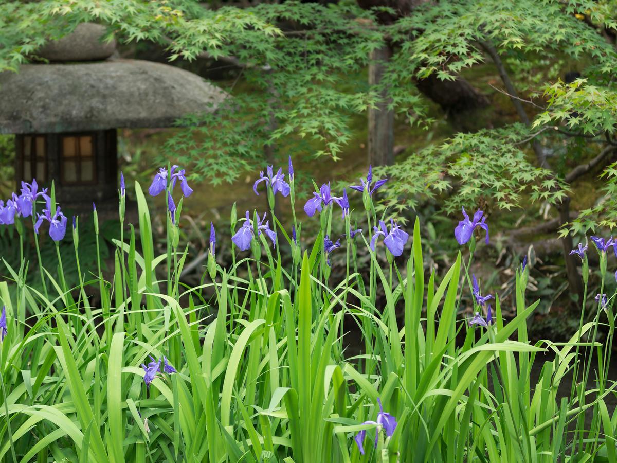 Nanzenji Sando Kikusui Kyoto Exterior foto